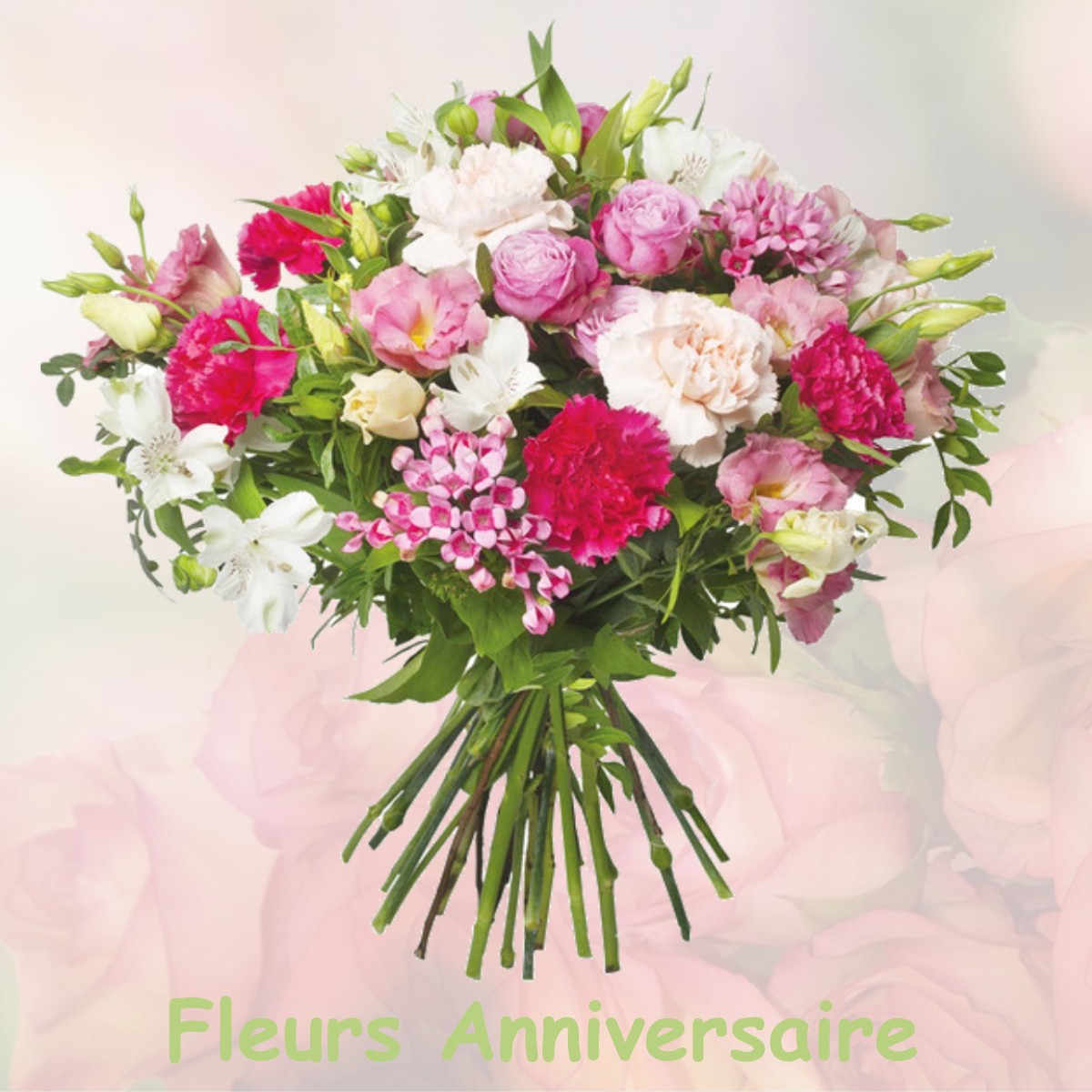 fleurs anniversaire FRANCHEVILLE